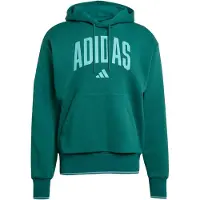 Adidas Collegiate Hoodie Vert M / Regular Homme