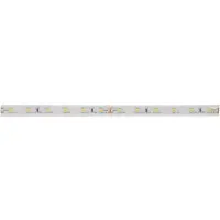 Brumberg Bande LED flexible (Blanc, 500 cm, Extérieur, Intérieur)