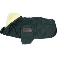 Kentucky Original Dog Jacket Vert 34-38 cm