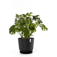 Ecopot's Oslo (55 x 48 cm)