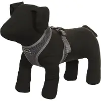Rukka Harnais Dog COMFORT AIR Gris S