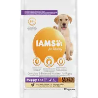 IAMS Advanced Nutrition Puppy Junior Large Breed Chicken 12 kg