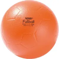 Volley Volleyball