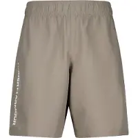 Under Armour Tech Woven Wordmark Shorts Gris 2XL / Regular Homme