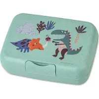 Koziol Boîte à lunch Rex, Lunch box, Multicolore, Vert
