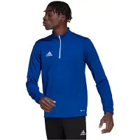 Adidas Entrada 22 Training Sweatshirt Bleu M / Regular Homme