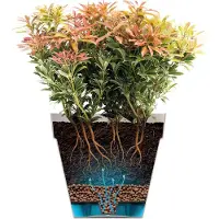 Elho Pot de Plante Carré Elho Anthracite 29,5 cm - Polypropylene Durable