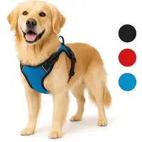 Flamingo harnais Balou bleu, taille : XL