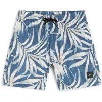 O'Neill Cali 14´´ Swimming Shorts Bleu 7-8 Years Garçon