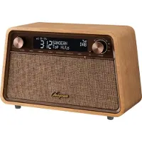 Sangean Swr201dnc Fm-radio Braun Braun One Size