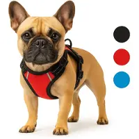 Flamingo Harnais Balou Rouge pour chien