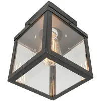 QAZQA Plafonnier d'extérieur industriel noir 1 lumière - Rotterdam