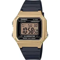 Casio Montres W217HM9A