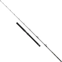 Penn Regiment Iv Halibuster Spinning Rod Argenté 2.40 m / 20-30 Lbs