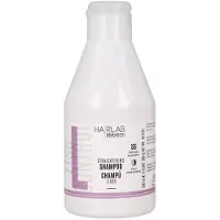 Salerm - Shampoing à la kératine - Shampoing Lisos Hair Lab - 300 ml - Contrôle les frisottis - Cheveux lisses et lissés - Avec protecteur thermi