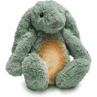 Zazu - Lapin RO avec veilleuse et chargeur USB vert
