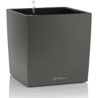 Lechuza Cube Premium 50 - Kit Complet, Anthracite Métallisé 50 Cm