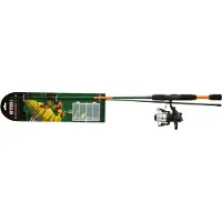 Mitchell Target Ii Perch Spinning Combo Doré 1.80 m / 5-20 g