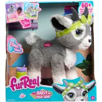 FurReal Just Joue Daisy The Yoga Goat Interactive Toy 11 pouces r alistes pour enfants en peluche pour les enfants de 4 ans