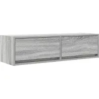 vidaXL - Meubles TV, 100 x 31 x 25,5 cm, imitation bois Sonoma gris