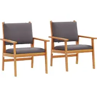 vidaXL Chaise de jardin avec coussins, lot de 2, anthracite, bois massif d'acacia
