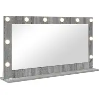 vidaXL Miroir de salle de bain , finition Sonoma gris, 100 x 55 x 18 cm, forme rectangulaire