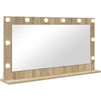 vidaXL Miroir de salle de bain , finition chêne Sonoma, 100 x 55 x 18 cm, forme rectangulaire