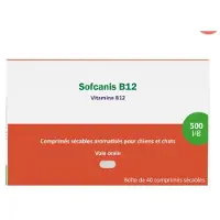 PDM to be maintained Sofcanis B12, 40 comprimés