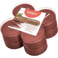 Bolsius Maxilichten Oud Wood 8 pcs. Clearcup True Scents