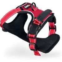 Lionto Harnais pour chien anti-traction, harnais en Y réglable avec anneau de poitrine, réfléchissant & rembourré, taille XL, rouge