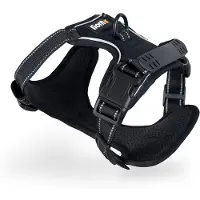 Lionto Harnais pour chien anti-traction, harnais en Y réglable avec anneau de poitrine, réfléchissant & rembourré, taille S, noir