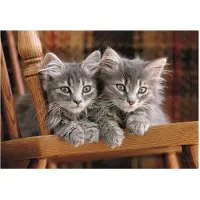 Clementoni Puzzle CLE 500 Chatons Compacts 35580