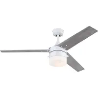WESTINGHOUSE 7316640 Ventilateur de plafond avec éclairage, blanc/bouleau, IP44, , 7316640, Blanc, Salon / séjour, Plastique, Moderne