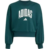 Adidas Seasonals Essentials Collegiate Typography Crewneck Sweatshirt Vert 7-8 Years Fille