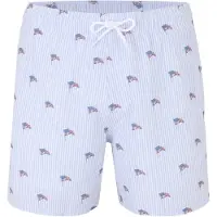 Hollister Boxers bleu / bleu clair / rouge / blanc