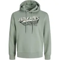 Jack & Jones Logo 2 Col Hoodie Vert M Homme
