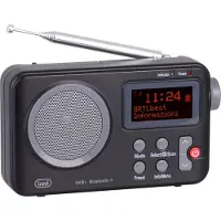 Trevi DAB 7F80 R Portable Noir, Gris