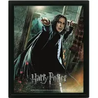 Harry Potter - Deathly Hallows - Poster Lenticulaire 3d 26x20cm