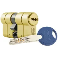 Mcm 88697 Brass Door Lock Cylinder Doré