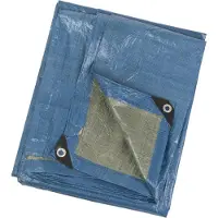 Perel Bâche - Bleu/vert - Standard - 5 X 8 M