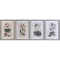 Sublime Market Connect Peintures Fleur Cristal DKD Home Decor - Ensemble de 4 Pièces (50 x 65 x 2,5 cm, 50 x 2,5 x 65 cm, 50 x 2,5 x 70 cm)