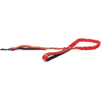 Beeztees Laisse Pour Chien Parinca Elastic
