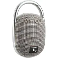 Techly Haut-parleur portable ICASBL321GR Haut-parleur portable mono gris 5 W
