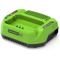 Greenworks Chargeur 60 V 2 A G60UC - 2932007