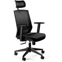 Unique Ergonomic office chair ESTA black