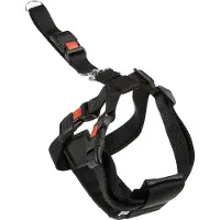 Flamingo Harnais de Sécurité Voiture Duma - L