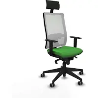 Piqueras Y Crespo Bürostuhl 1D066G1 grün