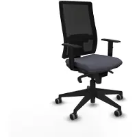 Piqueras Y Crespo chaise de bureau 1D066G0 gris foncé