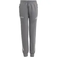 Adidas Pantalon de sport 'Mercedes - AMG Petronas Formula One Team' gris / blanc