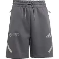 Adidas Pantalon de sport 'Mercedes - AMG Petronas Formula One Team' gris clair / gris foncé